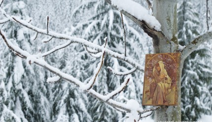 Paperblanks Traveler - Cypress, BC, Canada - Winter Child Journal