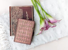 Paperblanks Shakespeare, Sir Thomas More and River Cascade Alluvium journals with pink flowers on a white blanket.