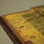 Embellished-MS-Balzac-Cover