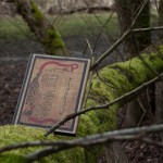 Embellished Manuscripts – Kipling – Forest