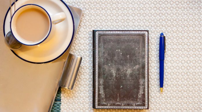 NaNoWriMo Success Stories: Interview with Henriette C. Rigel