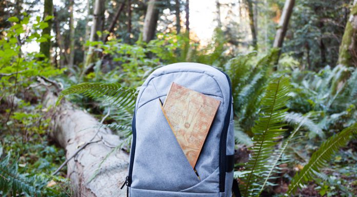 5 Healthy Habits to Start Any Time of the Year Paperblanks Leonardo Da Vinci Sun and Moonlight cover outdoors on the go