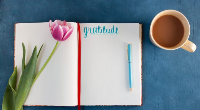 The Case for the Gratitude Journal: Top 5 Reasons to Start Today