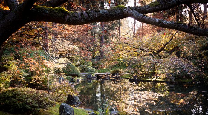 October 2019 Prompts for Fall!