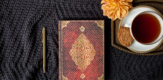 10 NaNoWriMo Writing Prompts for November!