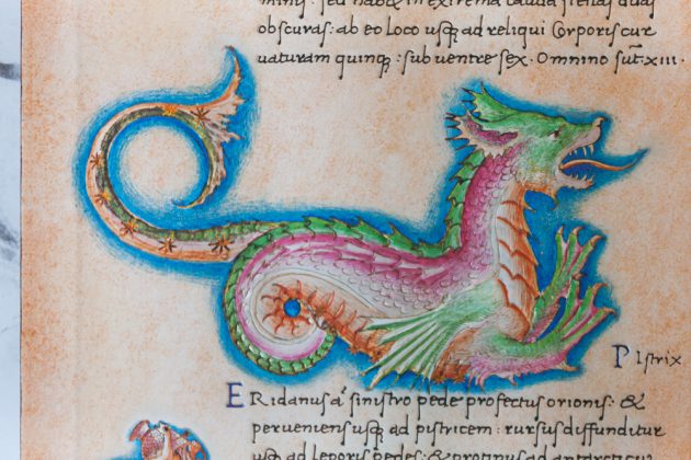 Discover the Secrets of an Ancient Illuminated Manuscript with ...