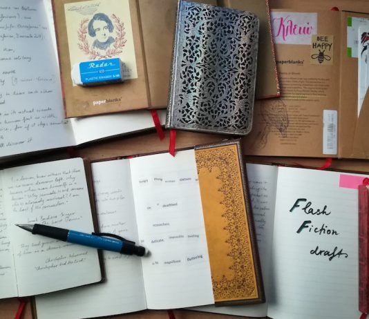 Peek Inside…Writer Clio Velentza’s Notebooks