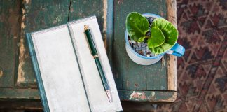 The Fascinating Story Behind Four Famous Novels