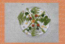 Community Highlight: YWCA Mindset Program