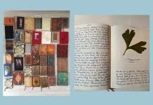 The Essence of Writing from Guest Contributor Julian Herzel