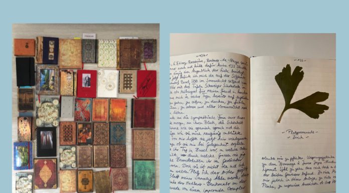 The Essence of Writing from Guest Contributor Julian Herzel