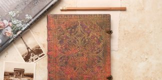 NaNoWriMo: Writer Interview with Elisabeth Bozem