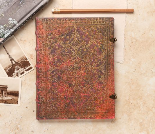 NaNoWriMo: Writer Interview with Elisabeth Bozem