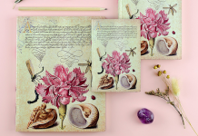 Pink Carnation Is the Latest Addition to Our Mira Botanica Series