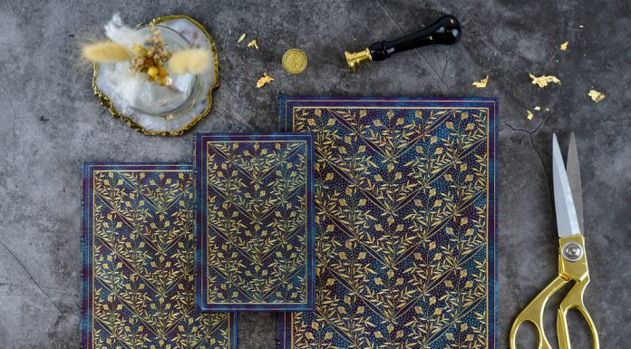 Let Your Imagination Sing with Wildflower Song