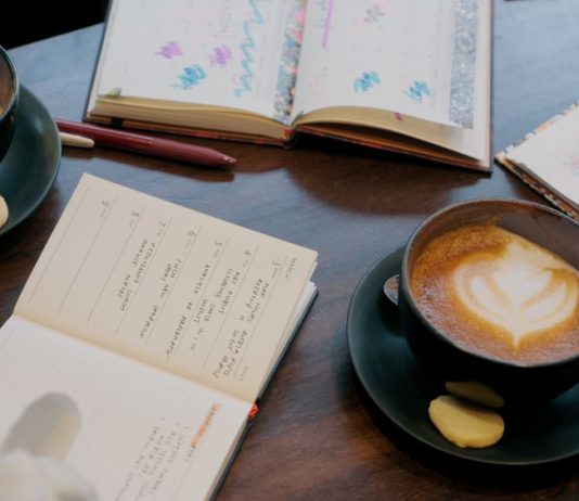 How to Know Which Paperblanks Planner Is for You!