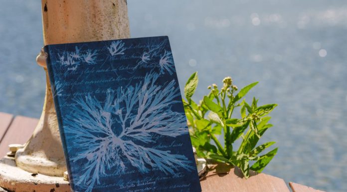 Introducing Anna Atkins’ Sea Flowers: A New Paperblanks Softcover Design Inspired by Cyanotype Art!