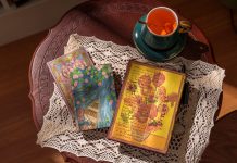 Let Your Imagination Bloom with Our Spring 2026 Collection!