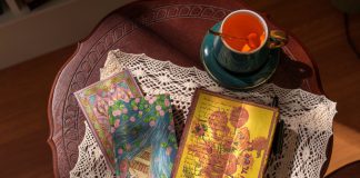 Let Your Imagination Bloom with Our Spring 2026 Collection!