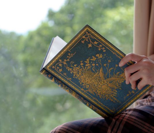 Discover Giacomelli’s World with Our Les Papillons Design!